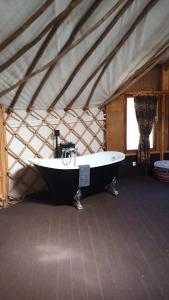 Galeriebild der Unterkunft Quinta de São José dos Montes in Ferreira do Zêzere