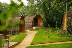 DolgarrogAdventure Parc的花园里的几个小圆顶