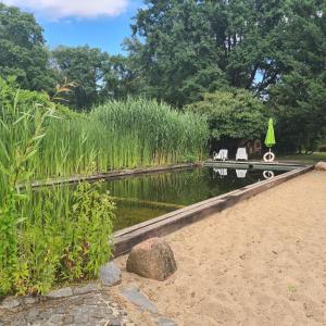 Naturlandskabet i nærheden af lejligheden