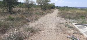 a dirt road in the middle of a field at Chambre d'hôtes in Sigean +10 photos