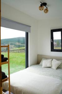 a bedroom with a bed and a large window at Casa Piccola in Măguri