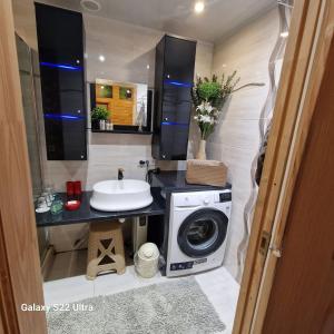 ein Badezimmer mit Waschmaschine und Waschbecken in der Unterkunft Brīvdienu māja Vāverītes 