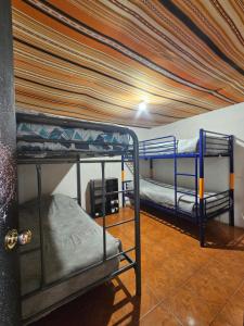 Ένα ή περισσότερα κρεβάτια σε δωμάτιο στο Backpackers San Pedro