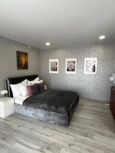 a bedroom with a large bed and pictures on the wall at Letastay in Trakai