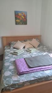 Gornja ToplicaにあるVila Rajの本と枕が置かれたベッド