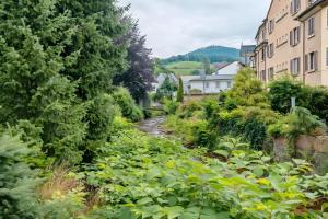 a garden in a city with a river at Gästehaus 22 in Baden-Baden