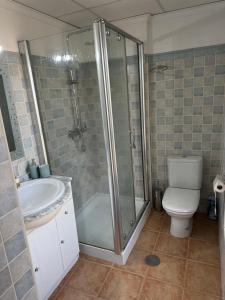 a bathroom with a shower and a toilet and a sink at Casa Dos Palomas in Bahia de Casares