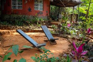 Zahrada ubytování Tacugama Chimpanzee Sanctuary