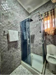 un baño con ducha y WC en Revolution Apartment Lemode Kobape abk, en Abeokuta 22 fotos más