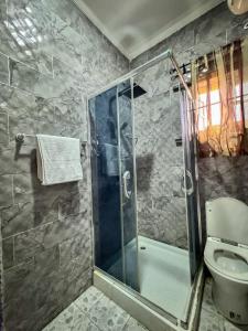 un baño con ducha y WC en Revolution Apartment Lemode Kobape abk, en Abeokuta