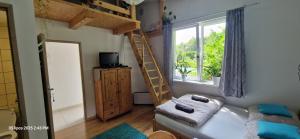 Μια τηλεόραση ή/και κέντρο ψυχαγωγίας στο Przy Stawach Apartamenty&Agroturystyka