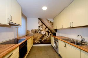 a kitchen with a cat painting on the wall at El Aura in Boltaña