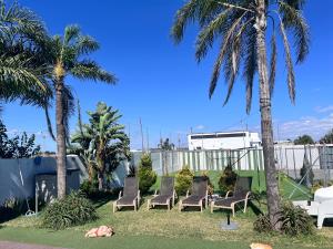 a group of chairs sitting in a yard with palm trees at Finca Rural Marmito in Sanlúcar de Barrameda