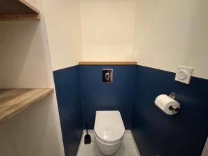 a bathroom with a white toilet and blue walls at Appartement lumineux à Royat in Royat +2 photos