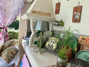 a table with a lamp and plants on it at Une Amazone en Povence in Paradou