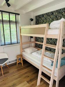 a bunk bed room with two bunk beds and a ladder at Bungalow De Hazelaar I 4 personen - Vakantiepark De Kremmer in Gasselte +10 photos