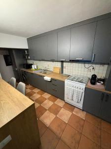 Kuchyň nebo kuchyňský kout v ubytování Apartament de lux, zona centrala