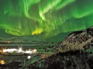 an image of the aurora dancing in the sky at 4 person holiday home in Rebbenes in Rebbenes