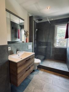 a bathroom with a sink and a toilet and a shower at Pfalzliebe Ferienwohnung Emilia in Dahn +14 photos