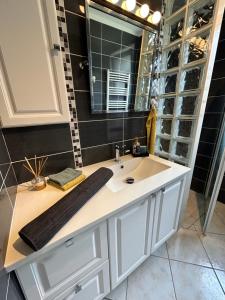 une salle de bain avec un lavabo et un miroir dans l'établissement Bel Appartement , proche tram place de Strasbourg accès centre ville, plages, à Brest 55 autres photos