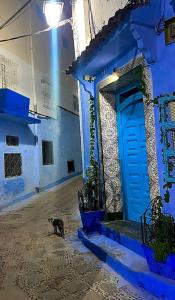 a cat walking past a blue building with a blue door at DAR AMRANi in Chefchaouene