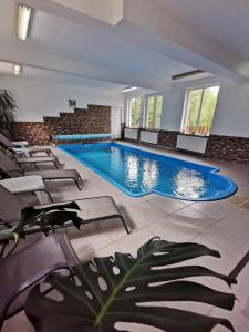 a large swimming pool in a building with chairs at Cabana Anda in Călăţele