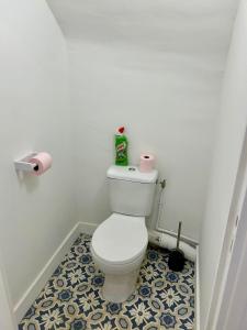 a bathroom with a toilet with a roll of toilet paper at Quiet apartment - Touraine in Sorigny +9 photos