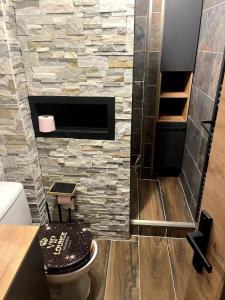 a bathroom with a toilet and a stone wall at Grand 2 pièces ensoleillé in Font-Romeu +45 photos