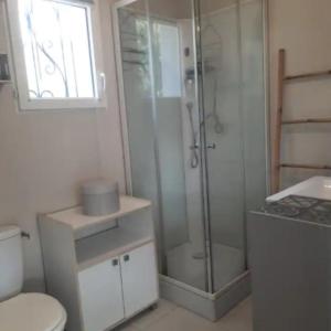 a bathroom with a shower and a toilet and a sink at Les 3 Poneytes in Gez