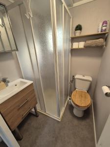 a bathroom with a shower and a toilet and a sink at Sfeervolle woodlodge op 5 sterren vakantiepark in Raalte +10 photos