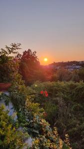 Gallery image of Casa Michelangela - Holistic bio Hotel in Ischia