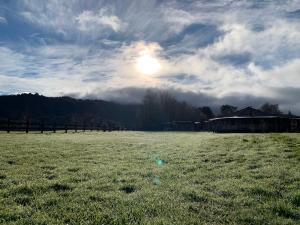 a field of grass with the sun in the sky at Patagonia Puelo Lodge in Cochamó