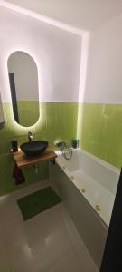 a bathroom with a sink and a bath tub at Studio Na náměstí in Potštát +17 photos