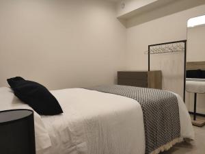 a bedroom with a bed with a black pillow on it at Vivienda Unifamiliar Ventana a la Clerecía in Salamanca +12 photos