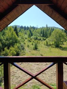 a view from the window of a cabin at Medvidske in Tukhlya