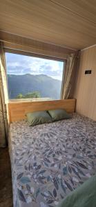 a bedroom with a bed with a large window at Green Discovery's Birds' Nests in Henrietta