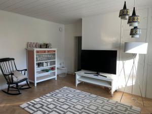 TV a/nebo společenská místnost v ubytování Lemminkäinen + 8 fotografií