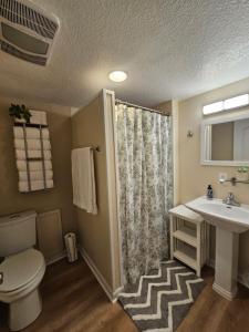 a bathroom with a toilet and a sink at Hillside Retreat in Knoxville +72 photos