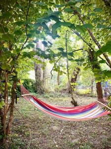 amaca in mezzo a una foresta di La petite maison au bord du Loir a Brévainville