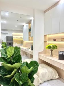 ein Wohnzimmer mit einer großen grünen Pflanze in der Unterkunft Relax Homestay 8 in Long Bình