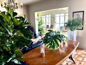 a living room with a table and lots of plants at Villa do Conde in Brotas