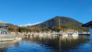 a bunch of boats are docked in a marina at Coho Bungalow - Ketchikan Alaska in Ketchikan