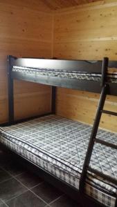 Etagenbett in einer Kabine mit Leiter in der Unterkunft Breifossen hytteutleie in Namsskogan