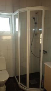 ein Badezimmer mit Dusche mit Glastür in der Unterkunft Breifossen hytteutleie in Namsskogan