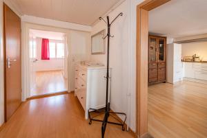 Kuchyň nebo kuchyňský kout v ubytování Ferienwohnungen Spiegel - Fewo mit Dachterrasse Mediterran 3