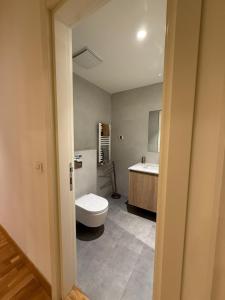 a bathroom with a toilet and a sink and a tub at Belgrade Waterfront apartments in Belgrade +31 photos