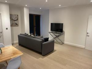 TV a/nebo společenská místnost v ubytování Spacious 1 bedroom Apartment in St Albans