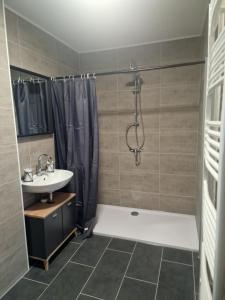 a bathroom with a tub and a sink and a shower at Küstenliebe 3 in Bremerhaven