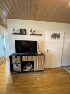 TV a/nebo společenská místnost v ubytování Charmante Ferienwohnung am See