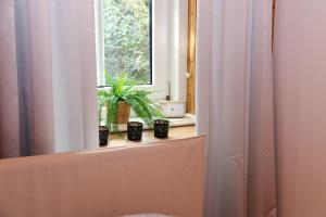 a window with three potted plants on a window sill at Altbauwohnung in Graz +42 photos